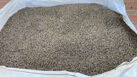 Wormenmestkorrel big bag 600 kg - Afbeelding 3