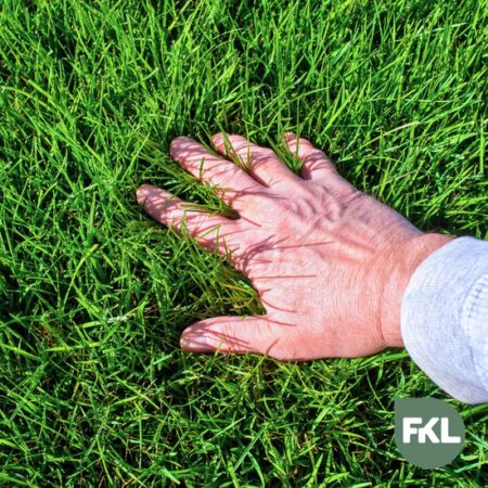 Koemest kruimelig 20 Kg (10 zakken) - Afbeelding 6