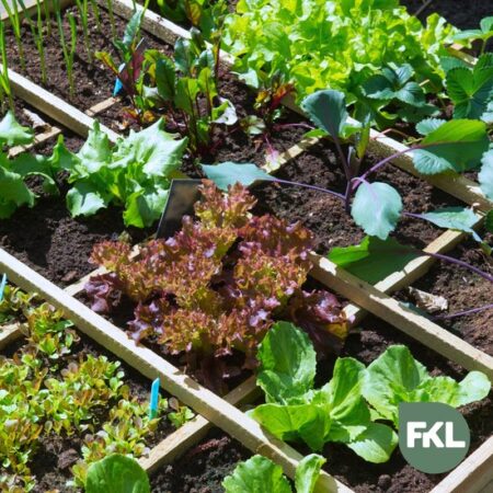 Koemest kruimelig 20 Kg (10 zakken) - Afbeelding 8